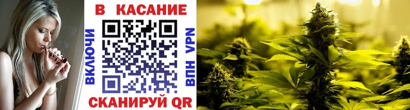 Меф Николаевск