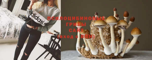 кокс Протвино