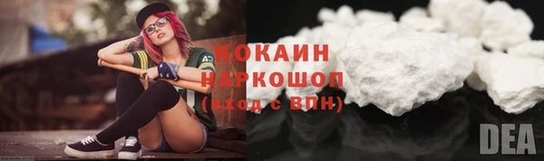 гашик Алзамай