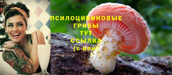мдпв Приозерск